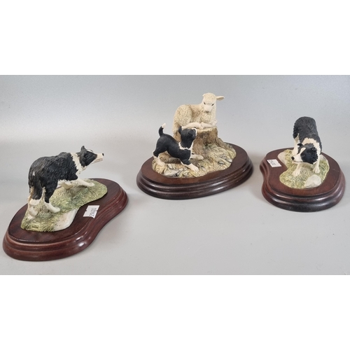 103 - Three Border Fine Arts sculptures to include: 'Lamb and Border Collie Pup', and two Collie dogs, one... 