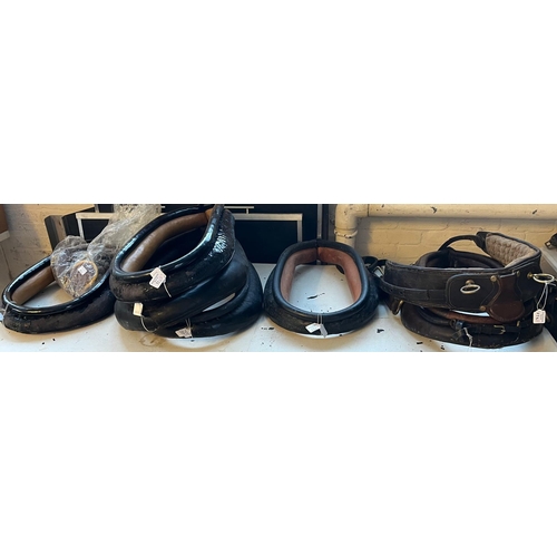 552 - Collection of equestrian horse padded collars, various, together with bag of webbing, head collars e... 