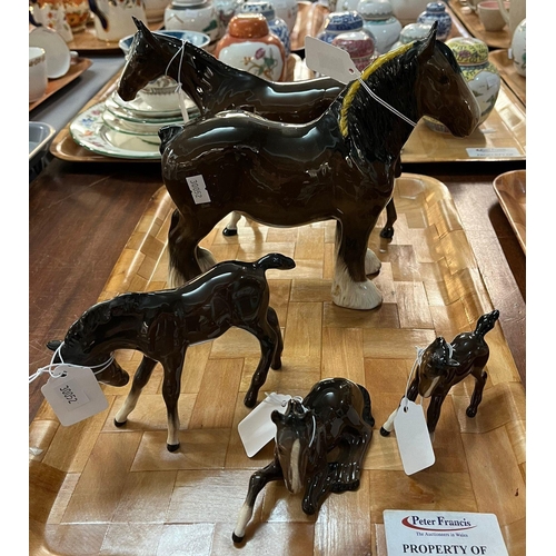 300 - Collection of Beswick horses, ponies and foals.  (9)   (B.P. 21% + VAT)