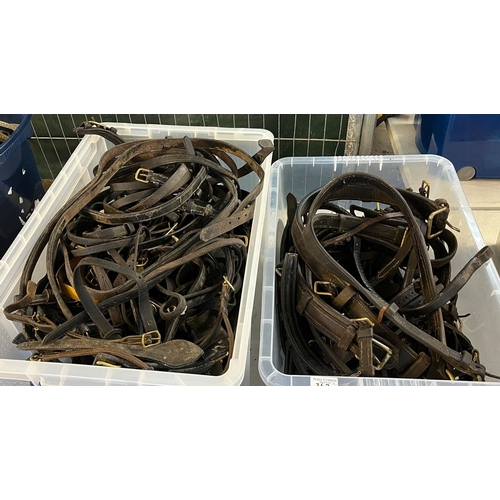 362 - Equestrian - two boxes of assorted leather harness parts, britching etc.  (B.P. 21% + VAT)