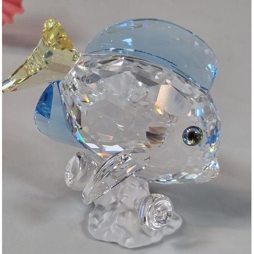 39 - Swarovski Crystal Tang fish together with a red Siamese Fighting Fish and a Seashell.  All in origin... 