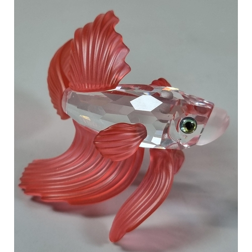 39 - Swarovski Crystal Tang fish together with a red Siamese Fighting Fish and a Seashell.  All in origin... 