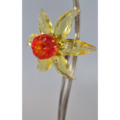 43 - Swarovski Crystal light topaz paradise flower 'Dacali', in original box.   (B.P. 21% + VAT)