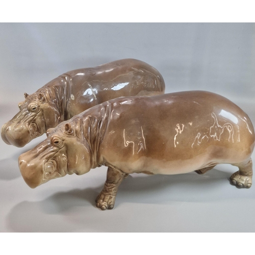 244 - Pair of large Goebel West German Hippopotami with naturalistic features. 45cm long approx. (2) (B.P.... 