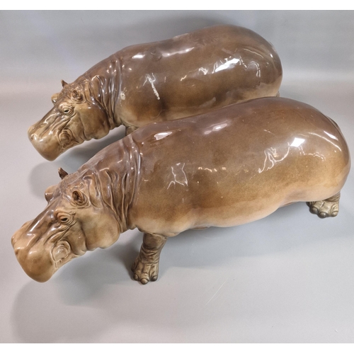 244 - Pair of large Goebel West German Hippopotami with naturalistic features. 45cm long approx. (2) (B.P.... 