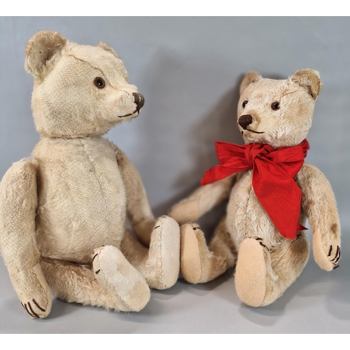 276 - Mid century growling Steiff plush teddy bear with silver button on his left ear, glass eyes, stitche... 