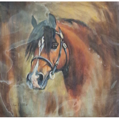 298 - Debbie Dunbar (Contemporary British), study of the head of a Welsh Cob, signed. Oils on board. 30x30... 