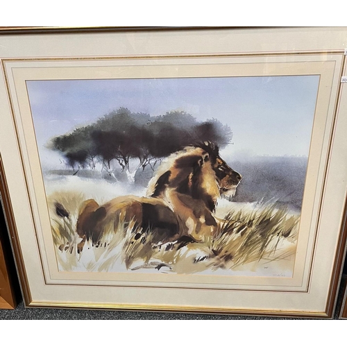 140 - Group of wildlife pictures to include: two limited edition prints Male Lion and Bear with Salmon, in... 