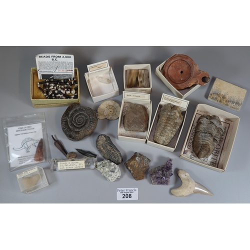 208 - Tin box comprising collection of fossils and antiquities, some with labels and information. (B.P. 21... 