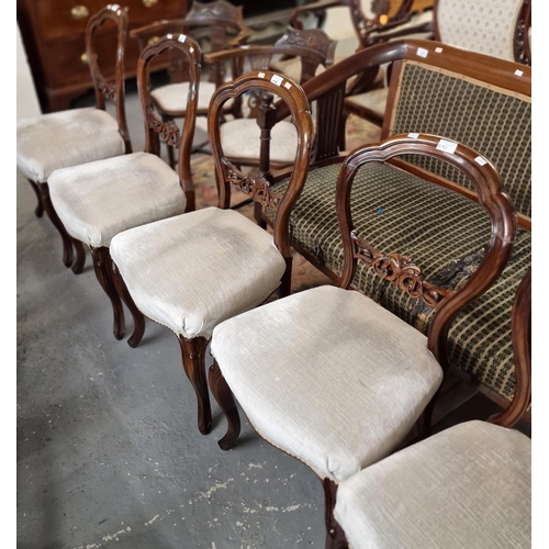 495 - Set of six Victorian walnut balloon back chairs, having stuff over serpentine seats on cabriole legs... 