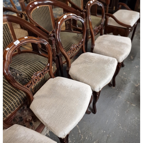 495 - Set of six Victorian walnut balloon back chairs, having stuff over serpentine seats on cabriole legs... 