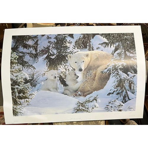 167 - Group of un-framed Limited Edition natural history prints after Stephen Townsend, to include: Polar ... 