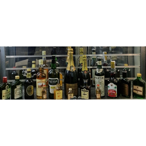 28 - Collection of alcohol to include: The Famous Grouse, Bell's, Grant's Whisky, Martini, Martell Cognac... 