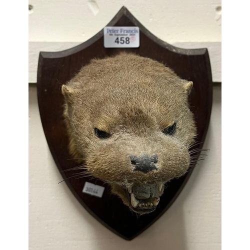 458 - Taxidermy - specimen mask head Otter on oak shield shaped plaque marked 'Kirdford 1922', together wi... 