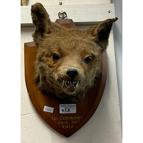 458 - Taxidermy - specimen mask head Otter on oak shield shaped plaque marked 'Kirdford 1922', together wi... 