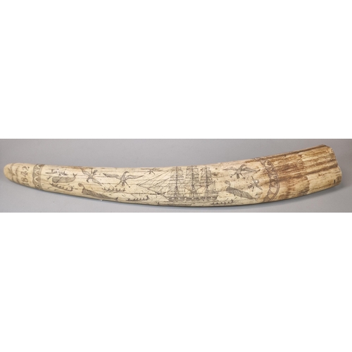 58 - Reproduction resin scrimshaw tusk, 'Charles W Morgan New Bedford', decorated with ships, birds, Whal... 