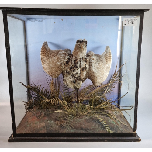 148 - Taxidermy - cased specimen Snipe with foliage, the case 40x40x24cm approx. (B.P. 21% + VAT)