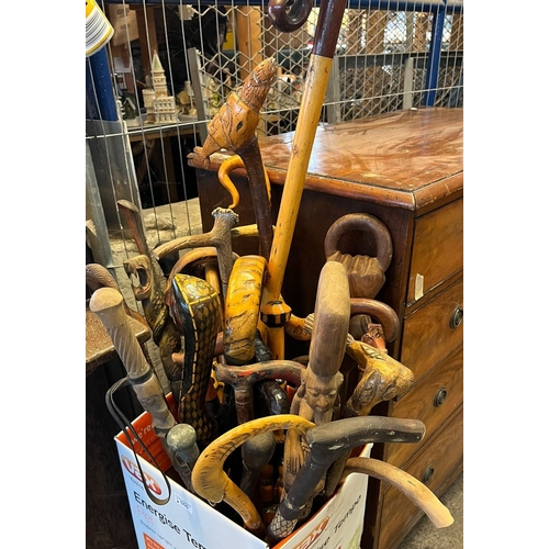 555 - Large collection of assorted walking sticks, shepherds' crooks etc. (B.P. 21% + VAT)