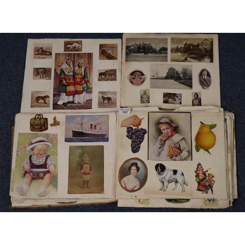 157 - Edwardian album / scrapbook of varying genres to include: animals, portraits, birds, humorous, etc. ... 