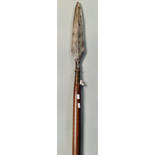 147 - Early 19th century Indian, probably British Raj, large Spontoon with double edged tapering blade. (B... 