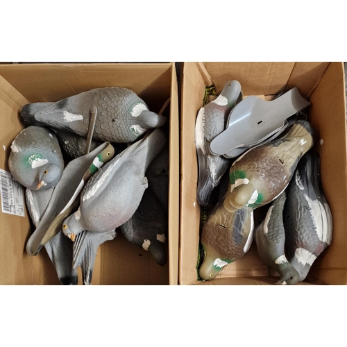 365 - Large collection of pigeon decoys both solid and shells. Two boxes. (2) (B.P. 21% + VAT)