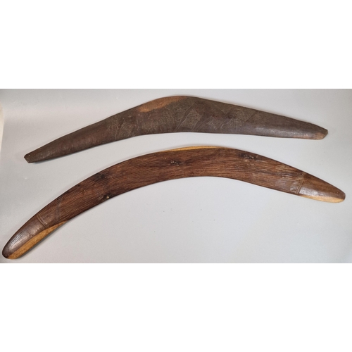 51 - Two Australian boomerangs to include: one stone cut carved with foliage and two Kangaroos (62cm long... 