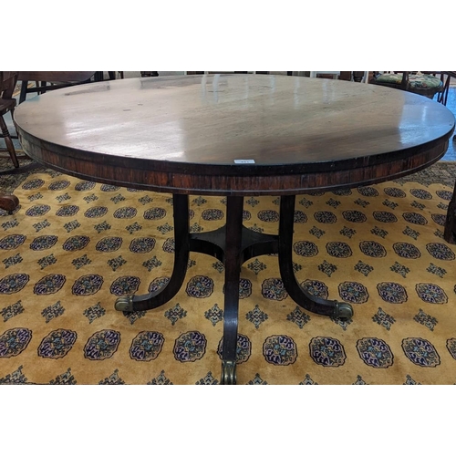 451 - Regency rosewood centre table on four out swept legs, brass paws and casters. 120cm diameter approx.... 