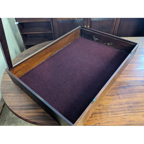 459 - Mahogany table top display case with hinged top having brass catches and later odd carrying handles.... 