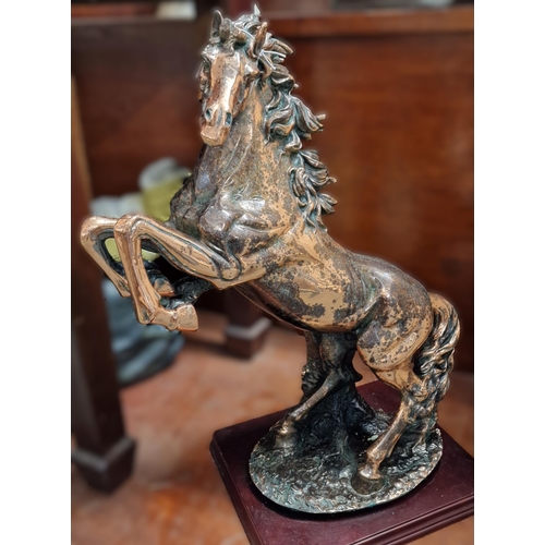 86 - Modern copper finish study of a rearing stallion on mahogany finish base. 60cm high approx. (B.P. 21... 