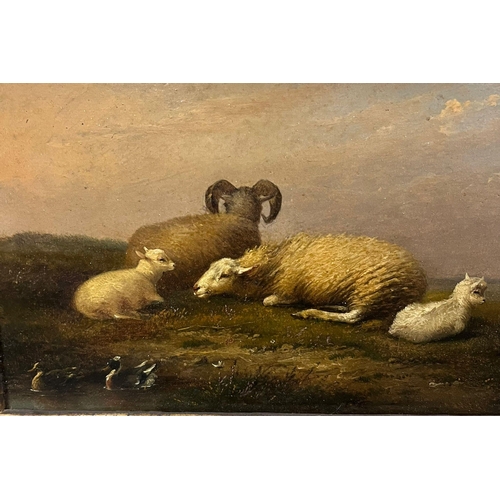 20 - Francois Van Severdonk (1809-1889), Ram, Sheep and Lambs with Ducks , on a hillside. Oils on panel. ... 