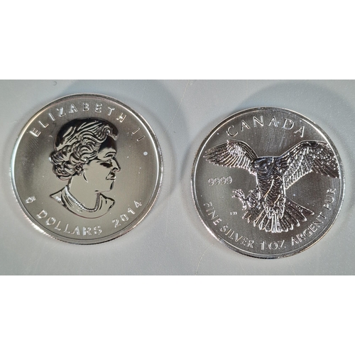 161 - Plastic tub comprising fourteen Canada Mint Five Dollars one ounce silver proof coins.  (B.P. 21% + ... 