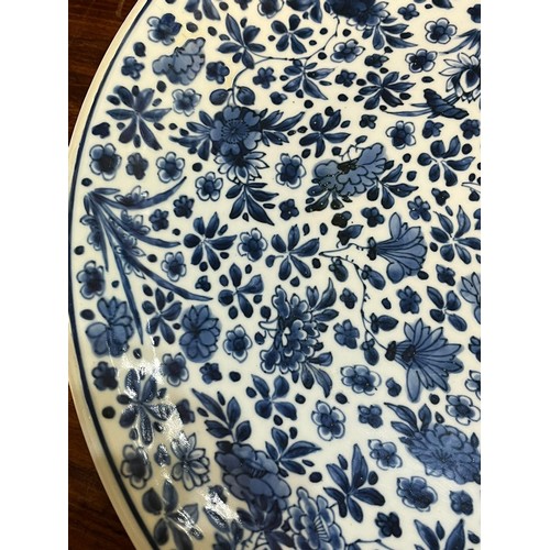 66 - Chinese 18th/19th century blue and white porcelain shallow dish, underglaze painted overall with spr... 