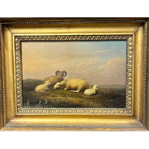 20 - Francois Van Severdonk (1809-1889), Ram, Sheep and Lambs with Ducks , on a hillside. Oils on panel. ... 