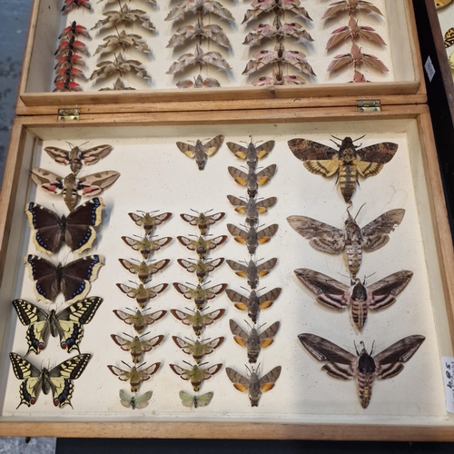 389 - Large collection of specimen butterflies and moths in folding cases. (B.P. 21% + VAT)