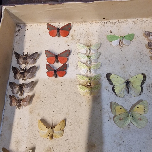 389 - Large collection of specimen butterflies and moths in folding cases. (B.P. 21% + VAT)