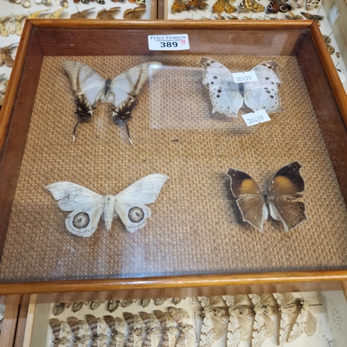 389 - Large collection of specimen butterflies and moths in folding cases. (B.P. 21% + VAT)