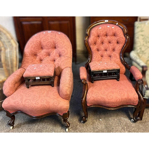 491 - Victorian mahogany button backed show frame Gentleman's fireside chair, with serpentine seat on cabr... 