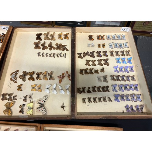 389 - Large collection of specimen butterflies and moths in folding cases. (B.P. 21% + VAT)