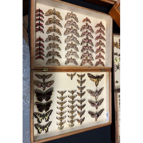 389 - Large collection of specimen butterflies and moths in folding cases. (B.P. 21% + VAT)