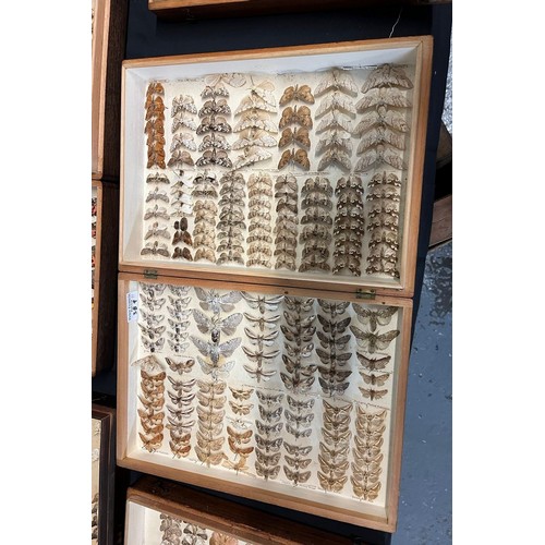 389 - Large collection of specimen butterflies and moths in folding cases. (B.P. 21% + VAT)