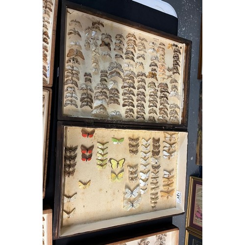 389 - Large collection of specimen butterflies and moths in folding cases. (B.P. 21% + VAT)