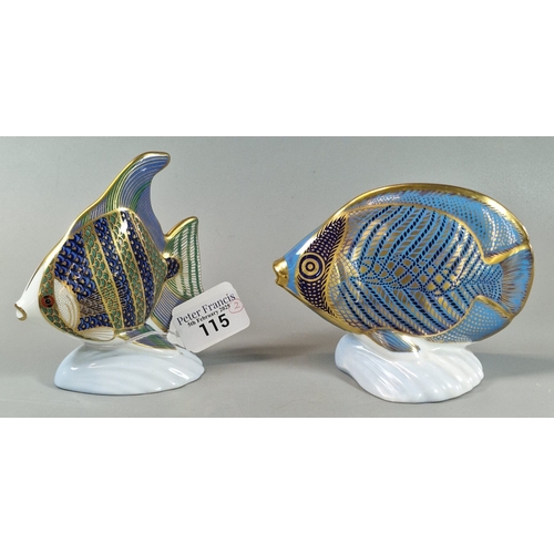 115 - Two Royal Crown Derby English fine bone china paperweights to include: Tropical Fish 'Angel Fish' an... 