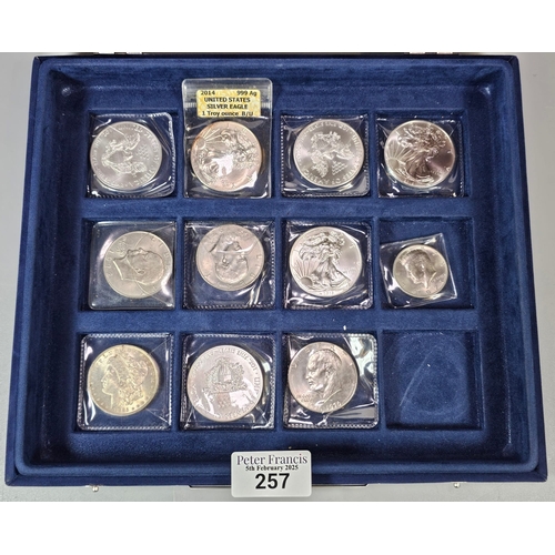 257 - Collection of USA one ounce silver dollars also including 1971 silver half Dollar.(10 plus 1) (11) (... 