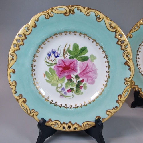 27 - Pair of 19th century Copeland porcelain cabinet plates, hand painted with botanical flowers and foli... 