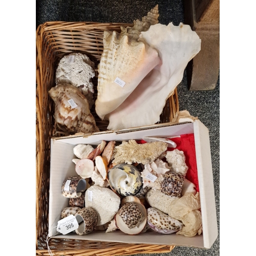 305 - Wicker basket comprising a collection of marine seashells.  (B.P. 21% + VAT)