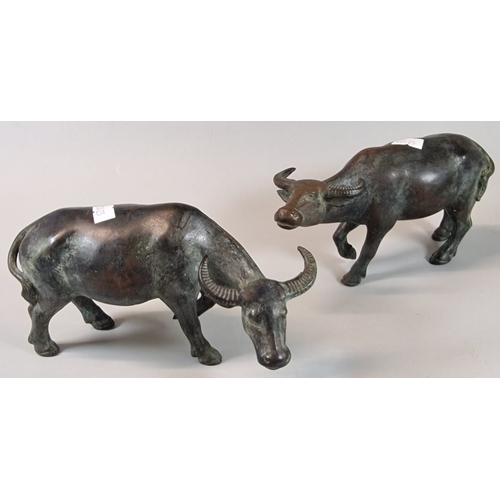 61 - Pair of probably Chinese cast bronze Water Buffalo, 19cm from nose to tail approx. Unmarked. (2) (B.... 