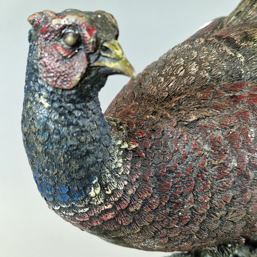 32 - Patinated bronze study of a cock pheasant, on oval base. 40cm long approx. Together with a bronzed c... 