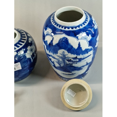 53 - 19th century Chinese porcelain blue and white ovoid vase and cover decorated with reserved landscape... 