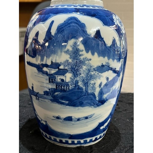 53 - 19th century Chinese porcelain blue and white ovoid vase and cover decorated with reserved landscape... 