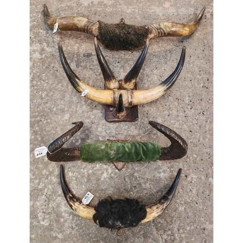 Lot 494       